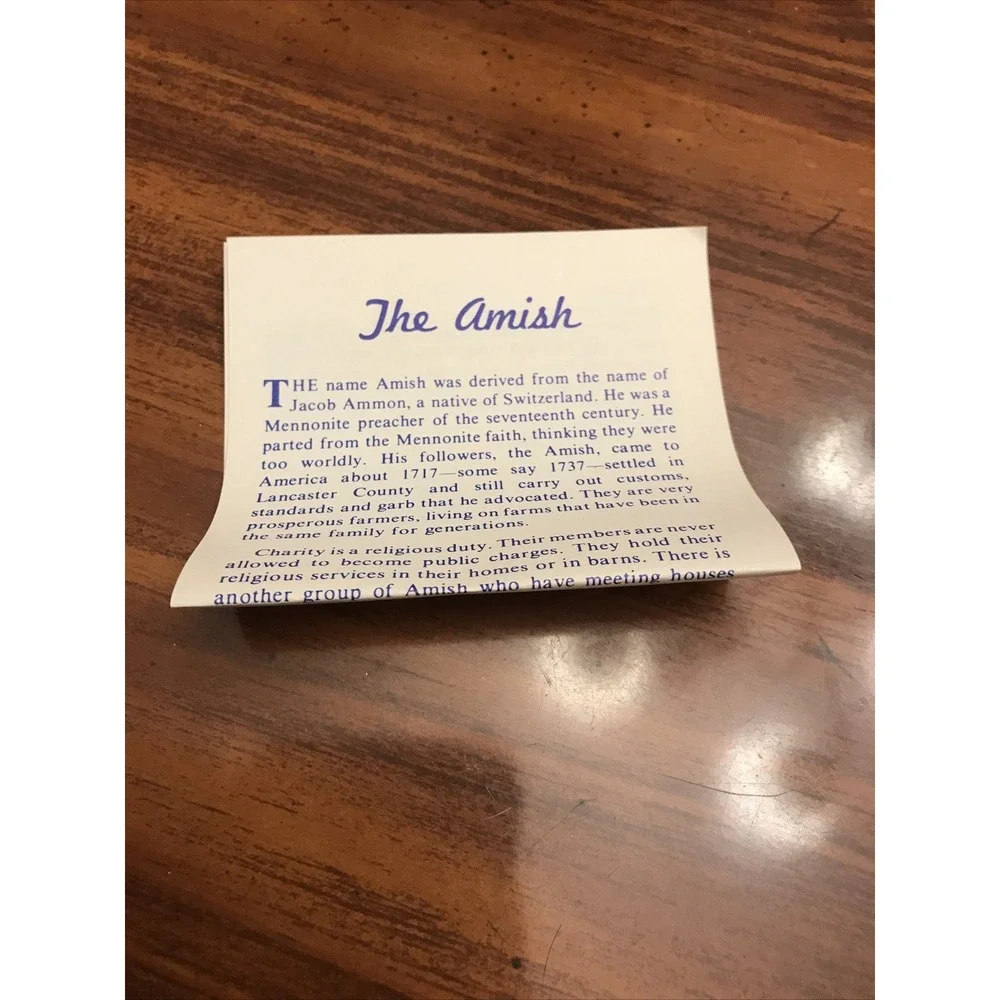 The Unbranded Brand vintage amish